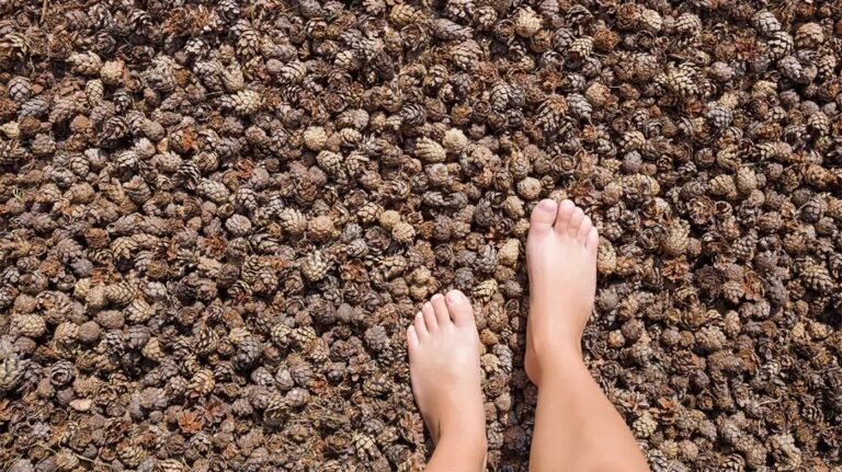 Discovering the Key Products for a Successful Grounding Practice