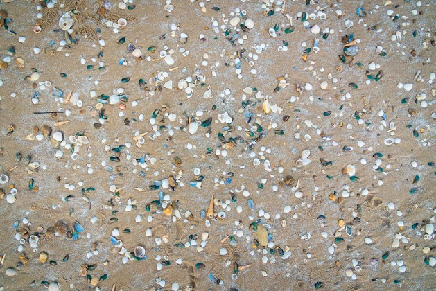 Terrazzo Flooring