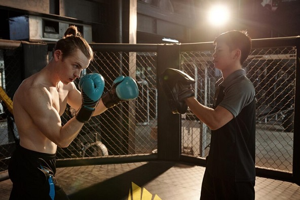Boxing Streams