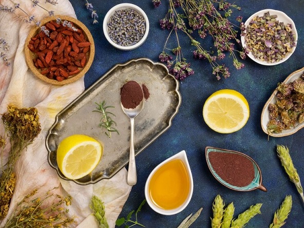 Plant Based Medicine