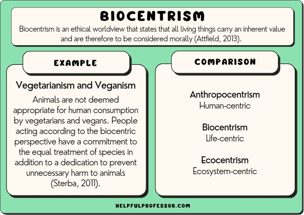 Biocentrism Debunked Act as a Catalyst