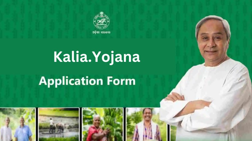 Engaging Ranchers: The Effect of Odisha’s Kalia.Yojana